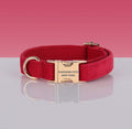 Red nylon Pawsome Dogs Collar with gold metal buckle and D-ring, featuring "PAWSOME PETS NEW YORK" engraving.