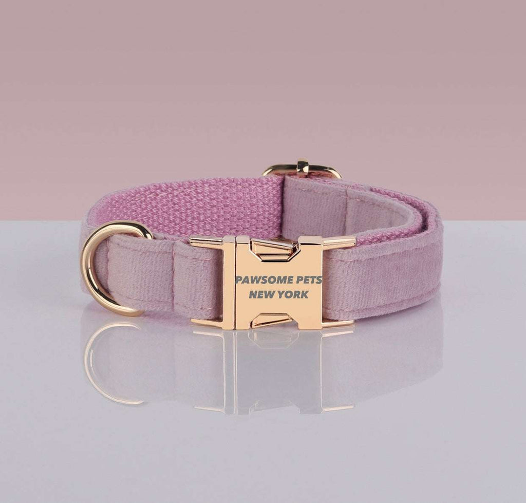 PAWSOME DOG COLLAR in soft pink nylon with gold-tone metal buckle and D-ring, fully adjustable with quick-release clasp.