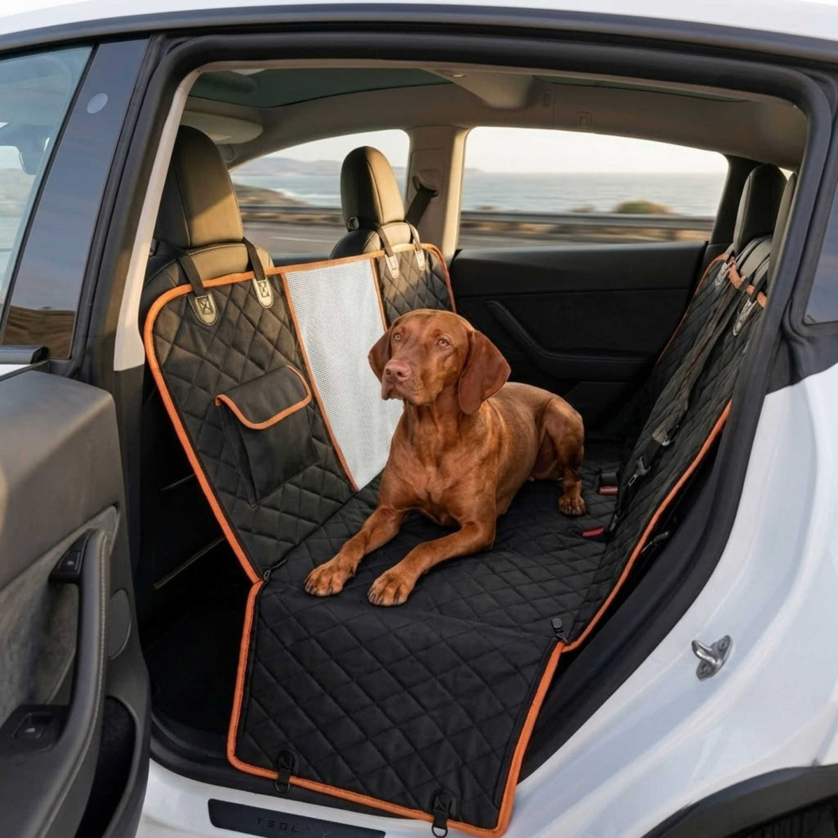 Waterproof Dog Car Seat Cover Hammock Black Nylon