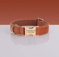 Pawsome Dog Collar in burnt orange velvet with a gold metal quick-release buckle and D-ring, adjustable nylon backing.