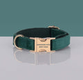 Dog collar in dark green velvet with gold metal buckle and D-ring, featuring Pawsome Pets New York branding on the clasp.