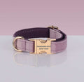 PAWSOME DOG COLLAR in mauve nylon webbing with gold-tone metal buckle and D-ring, fully adjustable design.
