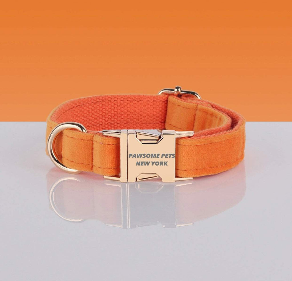 PAWSOME DOG COLLAR in bright orange nylon webbing with metal buckle engraved "PAWSOME PETS NEW YORK" and silver D-ring.