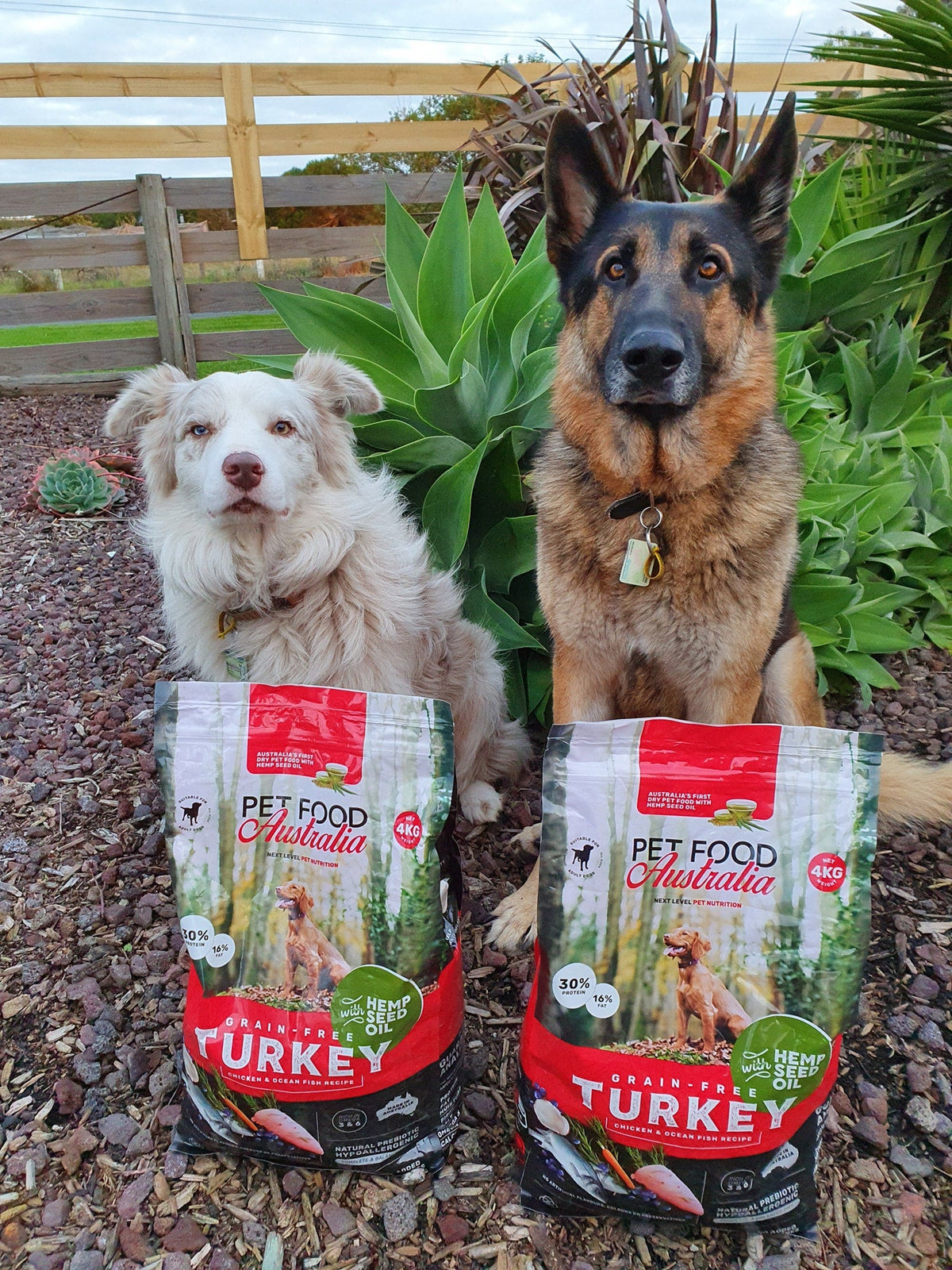 Turkey Dog Food
