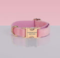 PAWSOME DOG COLLAR in pink nylon with a soft velvet texture and gold-tone quick-release buckle engraved with branding.