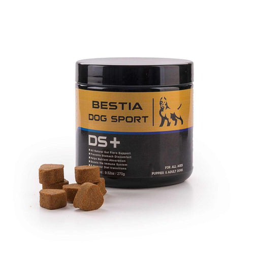 Dog Food Supplement in a black and gold container labeled "BESTIA DOG SPORT DS+" with brown square chew tablets beside it.