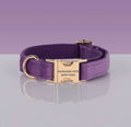 Purple nylon Pawsome Dogs Collar with gold metal buckle and adjustable strap featuring "PAWSOME PETS NEW YORK" engraving.