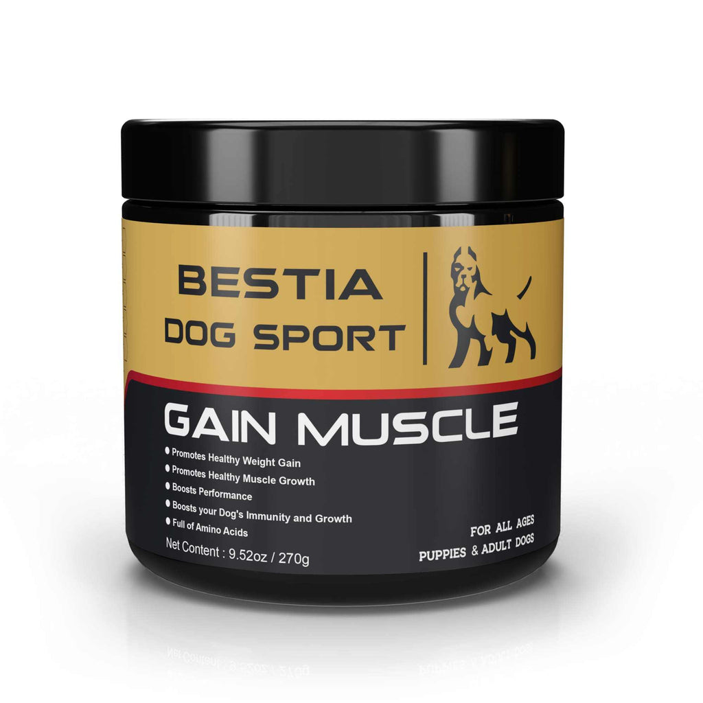 Gain Muscle Dog Food black and gold plastic jar supplement container for dogs promoting muscle growth and healthy weight gain.