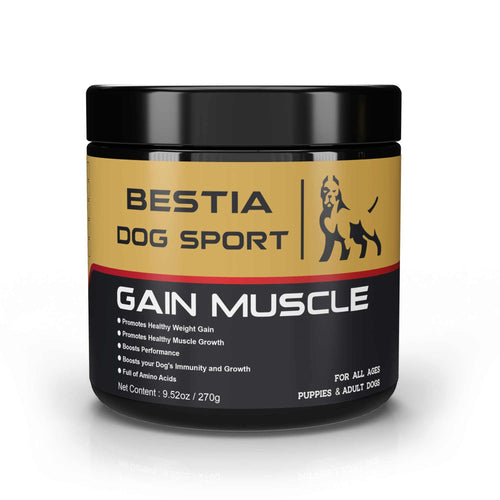 Gain Muscle Dog Food black and gold plastic jar supplement container for dogs promoting muscle growth and healthy weight gain.