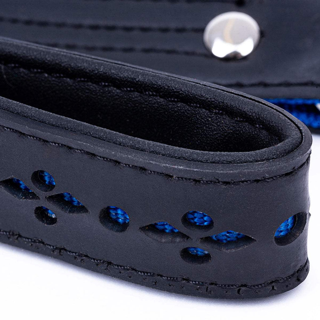 Eco Friendly Recycled Inner Tube vegan dog lead in black with blue nylon webbing, padded handle, and stitched detailing