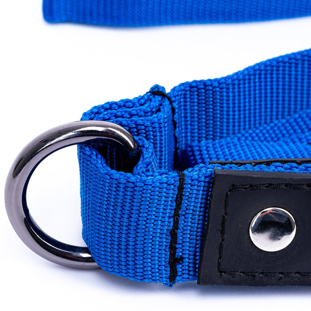 Blue eco friendly recycled inner tube dog lead with durable nylon webbing, stainless steel D-ring, and black leather detail close-up.