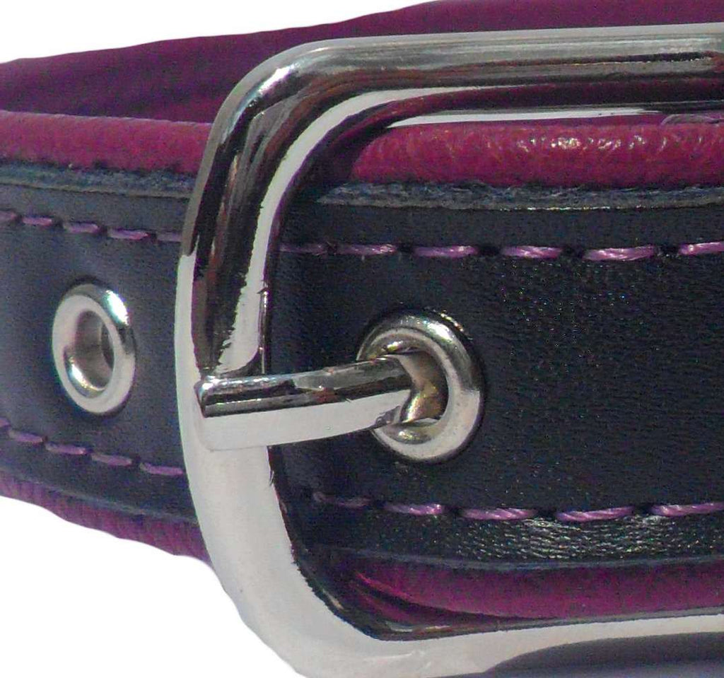 Berry Dog Collar with black faux leather layered over purple berry, featuring reinforced buckle holes and silver hardware.