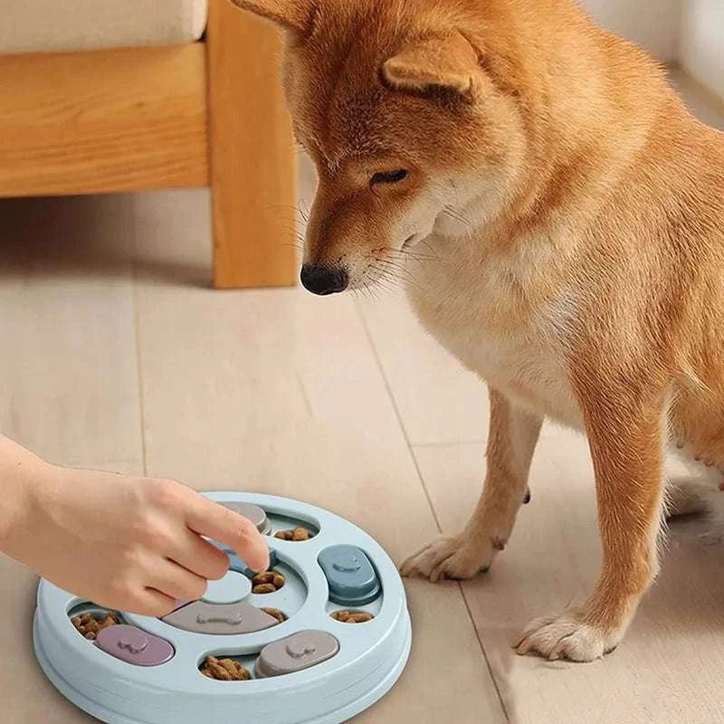 Dog Bowl