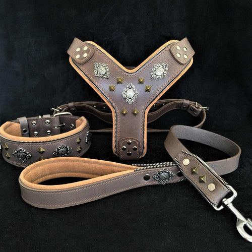 Aztec Harness, Collar & Leash SET in grey Italian leather with soft padding, silver and brass rivets, and zipper detail.