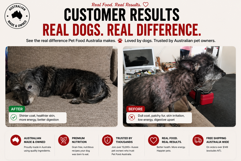 Insect Protein Dog Food