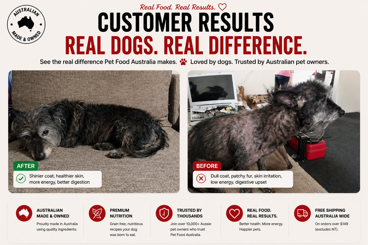 Insect Protein Dog Food