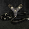 Eros Harness Collar Leash SET in black leather with silver metal studs and decorative square rivets, padded collar and harness.