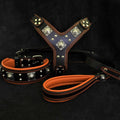 Eros Harness, Collar & Leash SET featuring black genuine leather with orange padding, silver rivets, and heavy-duty hardware for large dogs.