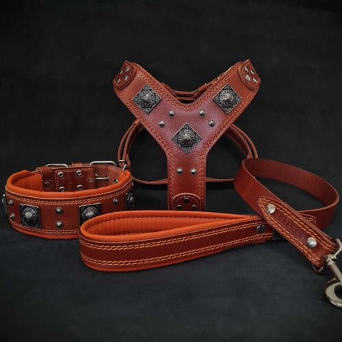 Eros Harness Collar & Leash SET in brown leather with orange stitching, silver rivets, and decorative metal plates designed for large dogs.