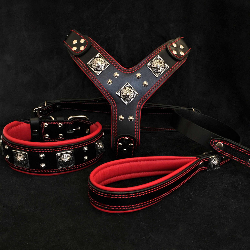 Eros Harness Collar Leash SET featuring black and red genuine leather with silver rivet accents and padded comfort.
