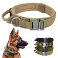 Tactical Dog Collar in khaki nylon with metal buckle and D-ring, padded and adjustable for durable quick control