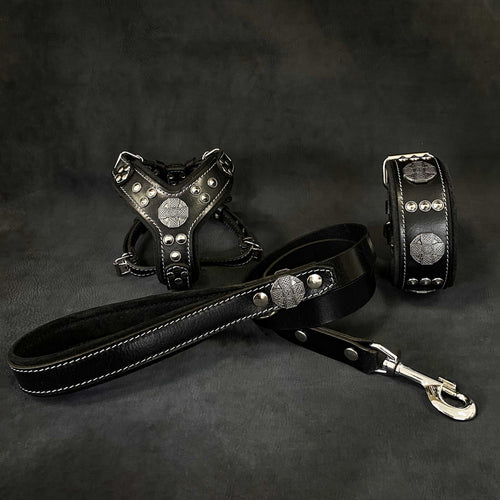 Maximus Black&Silver small dog harness, collar, and leash set in black leather with old-silver rivets and stitching detailing.
