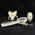 Small dog harness, collar, and leash set in white leather with gold brass rivets and decorative emblems, the Maximus White Set.