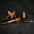 Small dog harness, collar, and leash set in brown genuine leather with silver decorative rivets and hardware, Maximus Brown&Silver design.