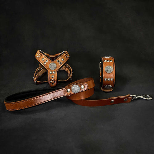 Small dog harness, collar, and leash set in brown genuine leather with silver decorative rivets and hardware, Maximus Brown&Silver design.