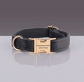 PAWSOME DOG COLLAR in black nylon with rose gold quick-use buckle and adjustable strap for secure fit and durability.