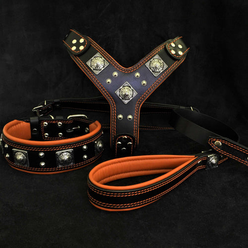 Eros Harness set featuring black genuine leather with orange padding, silver rivets, and heavy-duty nickel-plated hardware.